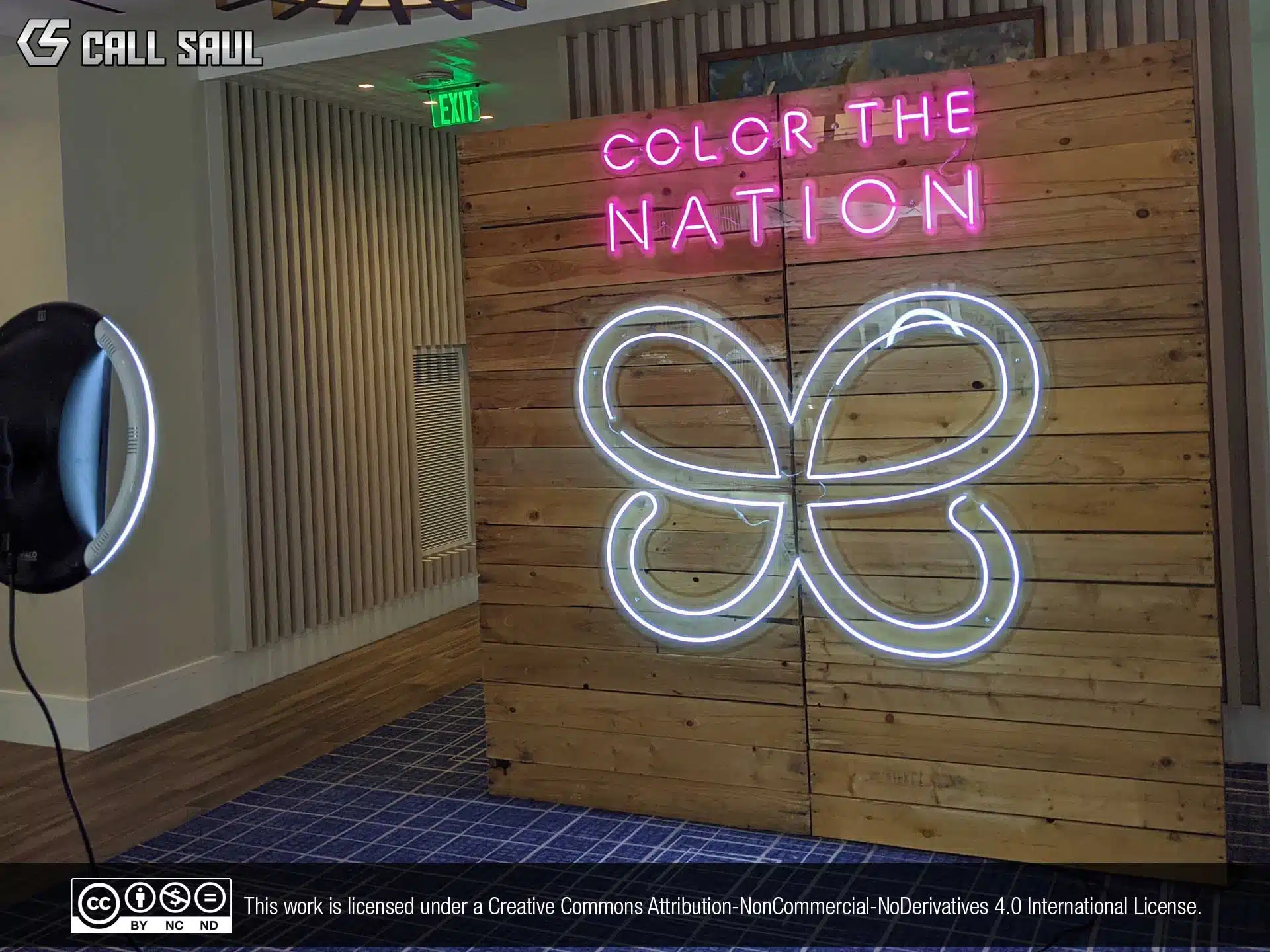 Color The Nation LED Neon Sign Pink and White LED Color