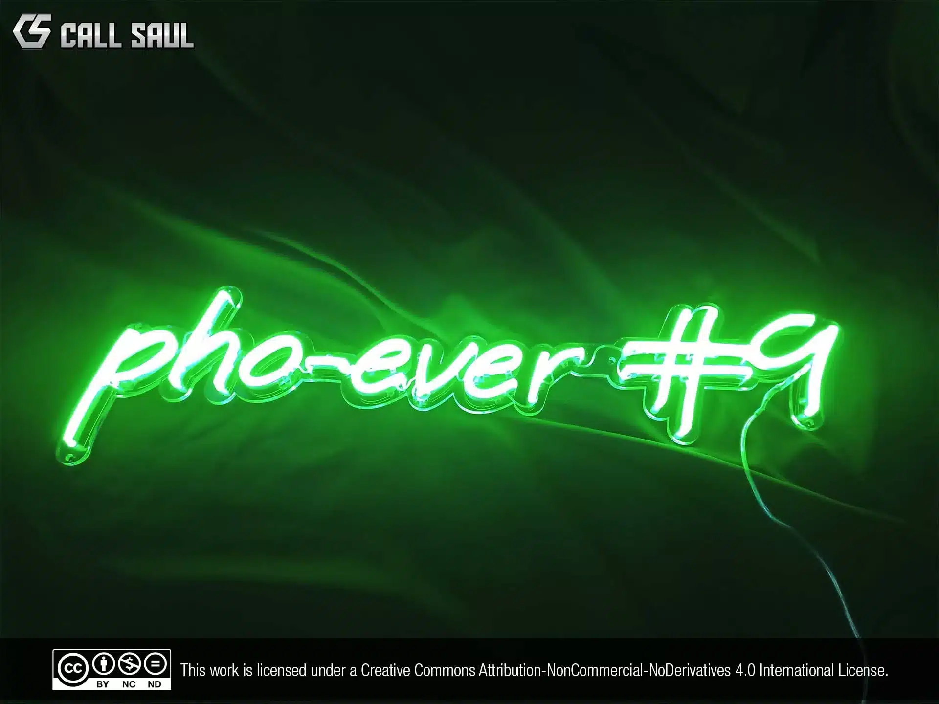 Pho-Ever #9 Green Color LED Neon Sign