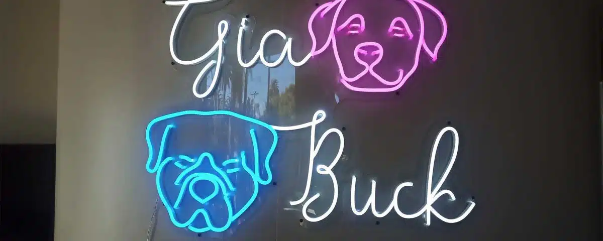 Gia and Buck White Pink and Blue Color LED Neon Sign